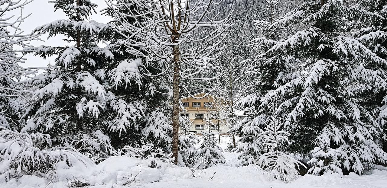 Chalet Amadeus Mayrhofen Zillertal Tirol Extérieur photo